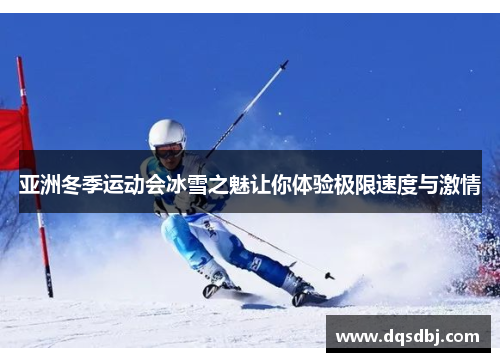 亚洲冬季运动会冰雪之魅让你体验极限速度与激情 亚洲冬季运动会冰雪之魅让你体验极限速度与激情